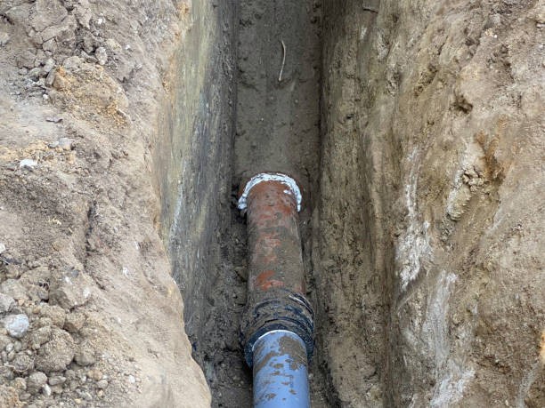Best Flood restoration services  in Mason, MI