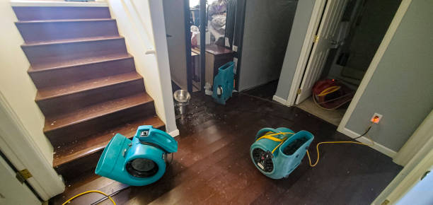 Best Commercial water damage restoration  in Mason, MI