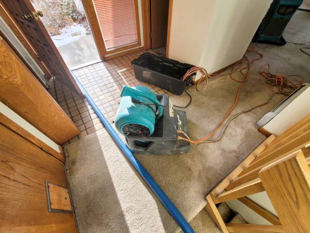 Best 24-hour water damage restoration  in Mason, MI