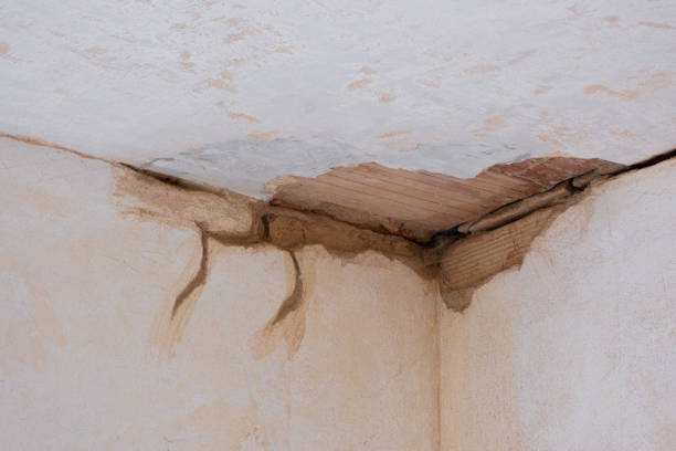 24/7 water damage repair in Mason, MI