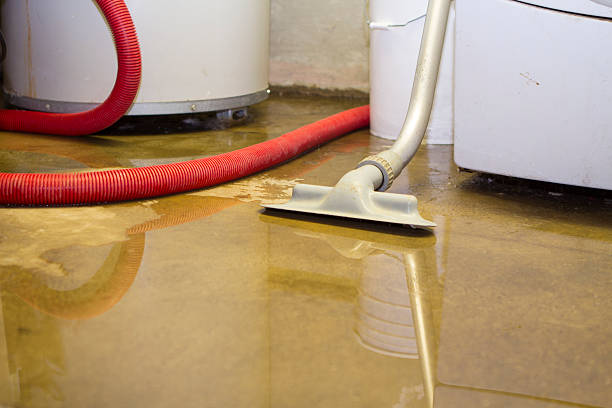 Best Ceiling water damage repair  in Mason, MI