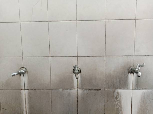 Best Water damage contractors near me  in Mason, MI