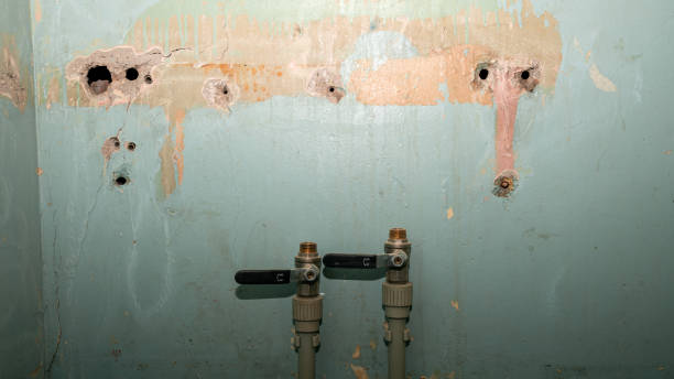 Best Mold removal after water damage  in Mason, MI