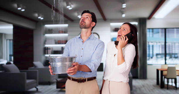 Best Professional water damage repair  in Mason, MI